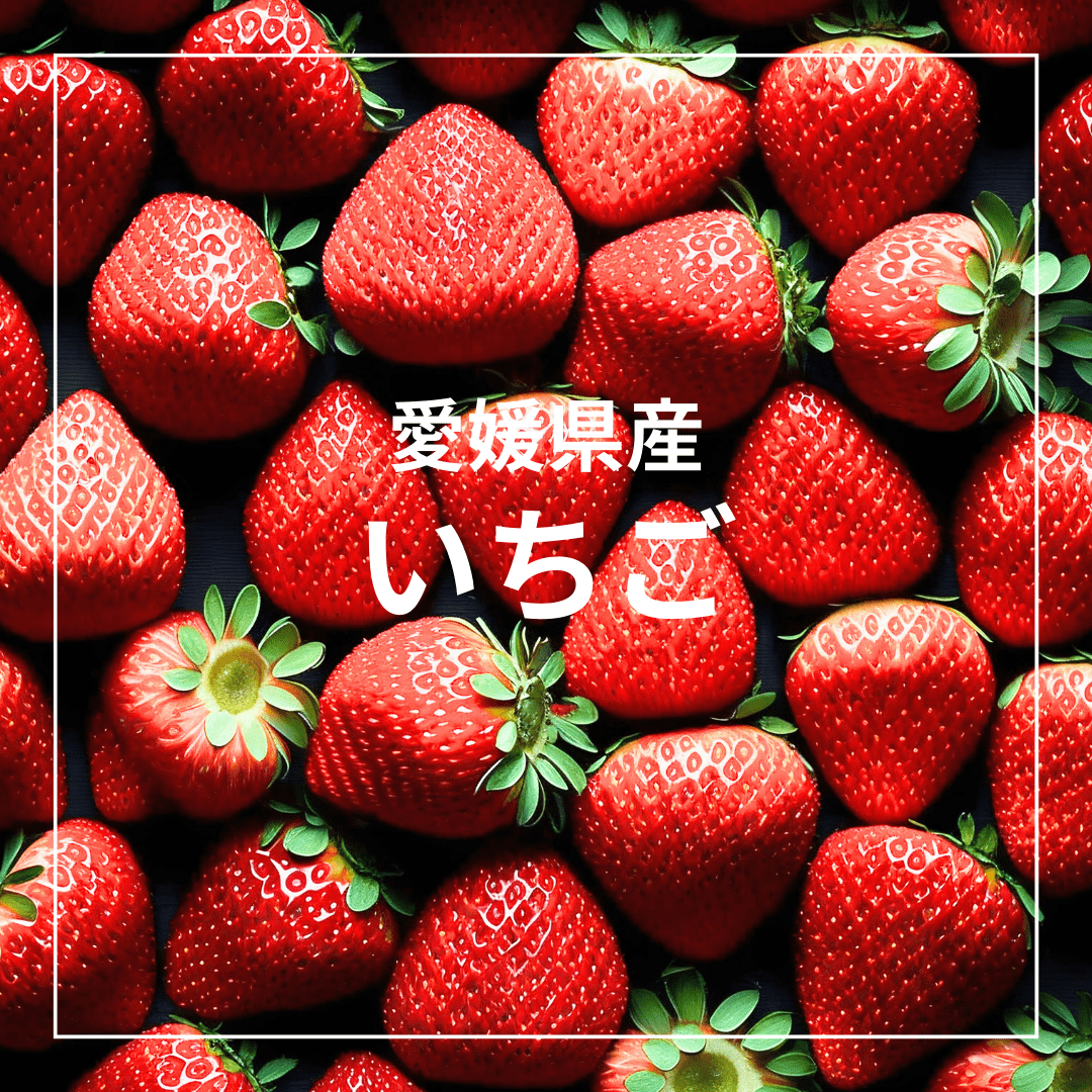 Mom&Kids SET【ラッピング付き】