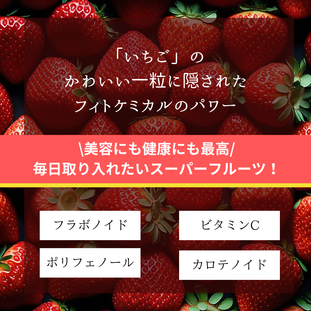 至高の国産ドライフルーツ「いちご」3袋セット