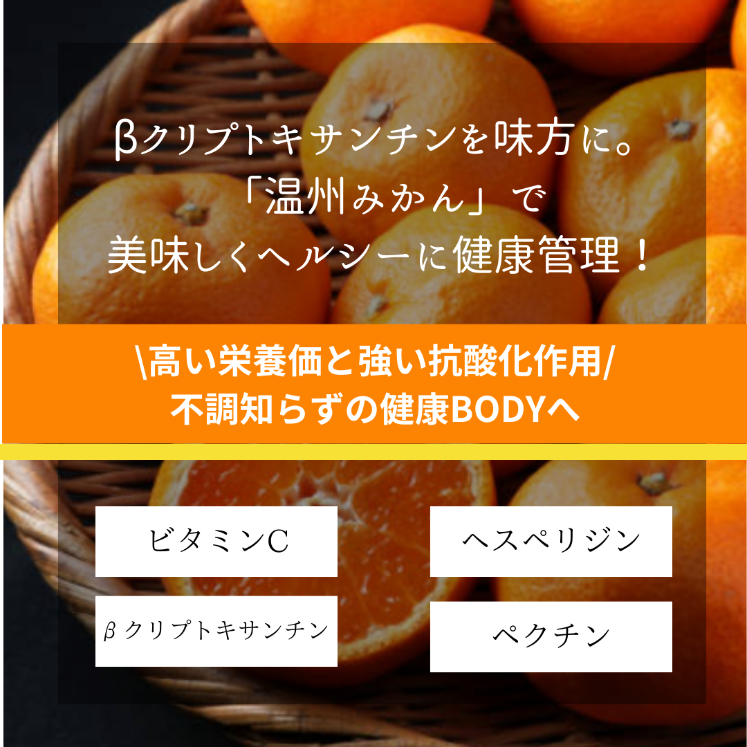 至高の国産ドライフルーツ「温州みかん」3袋セット
