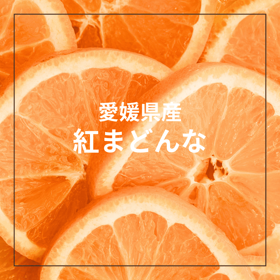 国産ドライフルーツ人気4種SET【ラッピング付き】