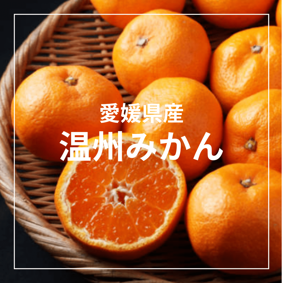 <Beauty Set>国産ドライフルーツ4種【ラッピング付き】